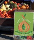 LesLegumesDEmileEtCamille_-mf-15.jpg