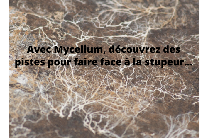 image myclium.png (0.6MB)
Lien vers: http://www.mycelium.cc/?wysija-page=1&controller=email&action=view&email_id=24&wysijap=subscriptions&user_id=25